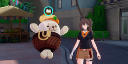 Entry Planar Travel Bonding Anima.png